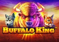 Buffalo King