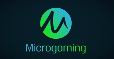 Microgaming Informationen