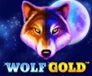 Wolf Gold