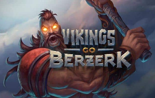 Vikings Go Berzerk Slot Bewertung